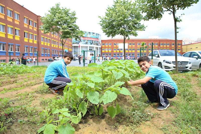 Başakşehirli Öğrenciler Organik Tarım ile Buluştu
